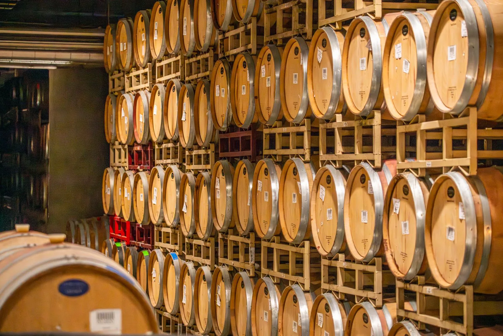 Vineyard image